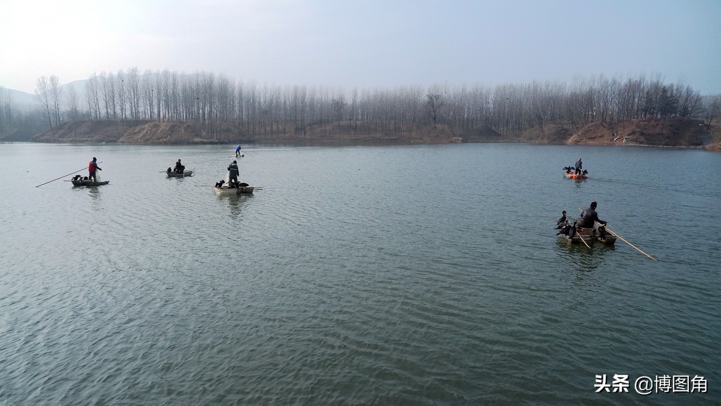 鸬鹚捕鱼渔民生活实拍精彩的瞬间,渔民与鸬鹚捕鱼图片