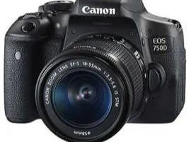 陶白白讲十二星座送啥生日礼物,十二星座喜欢什么生日礼物天秤座