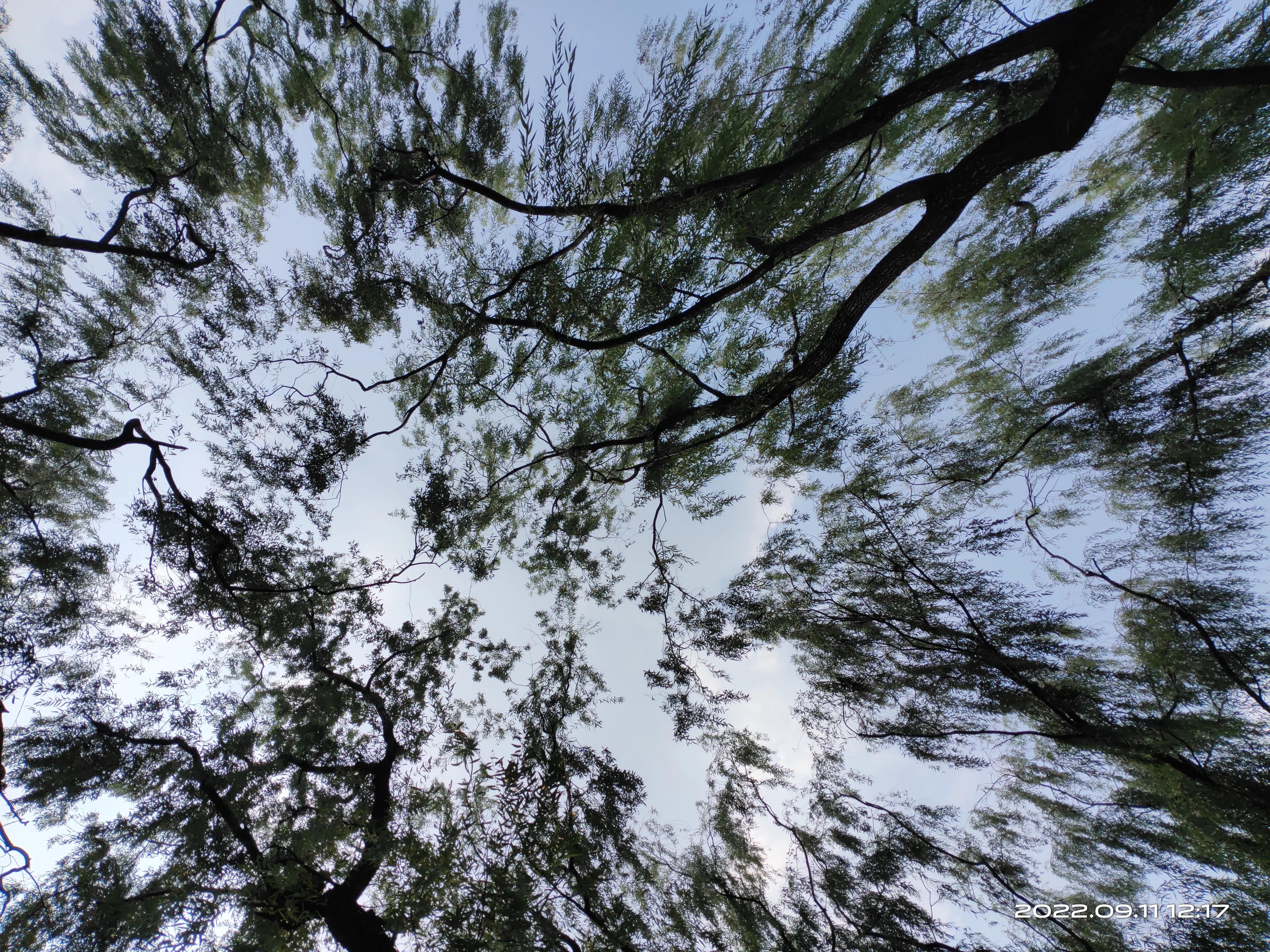 游济南森林公园作文,游济南森林公园攻略怎么写