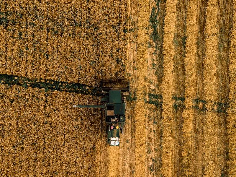 大气磅礴的震撼诗词,恢弘磅礴的诗词