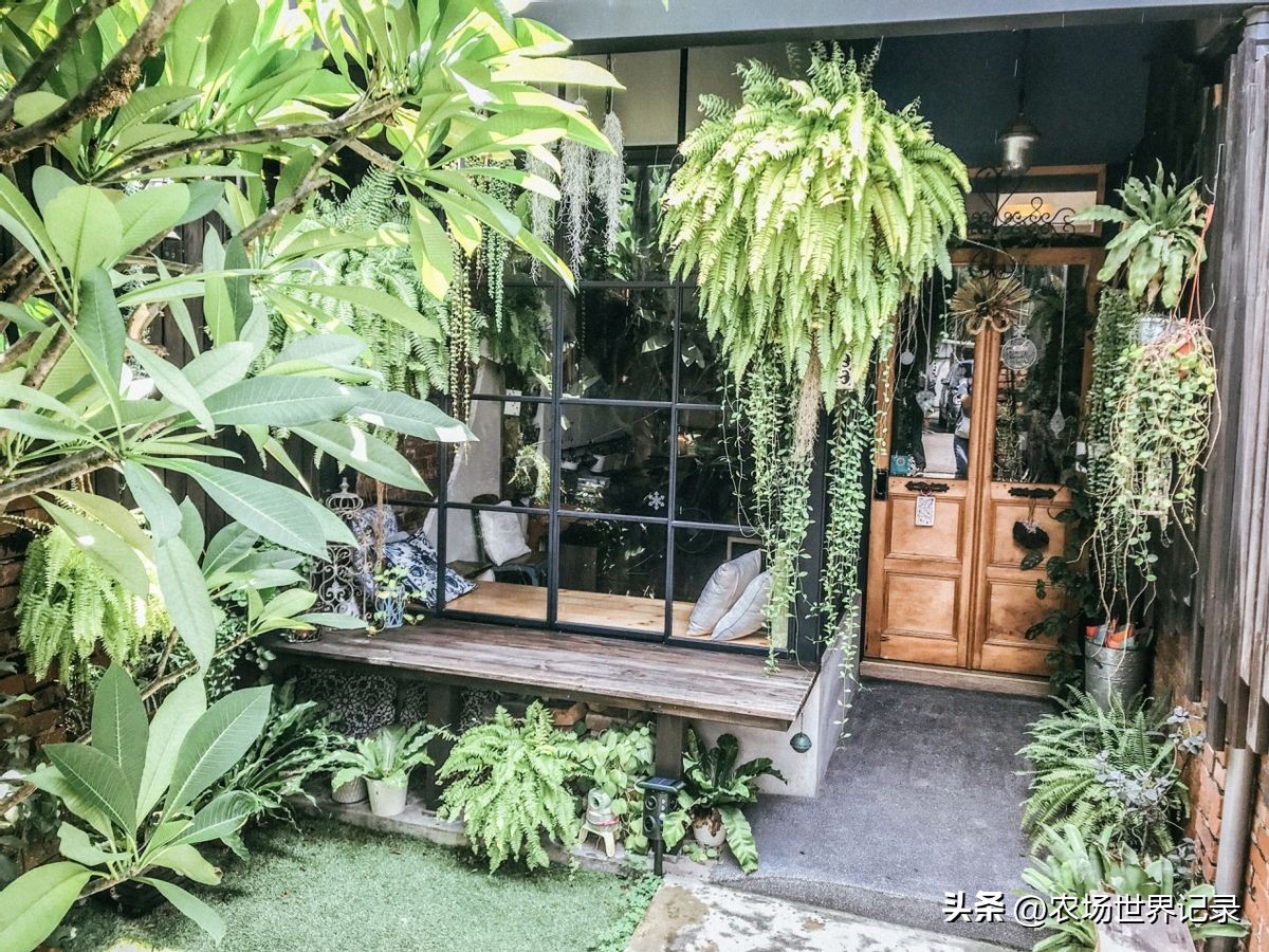 最高效庭院经济模式,发展庭院经济的模式