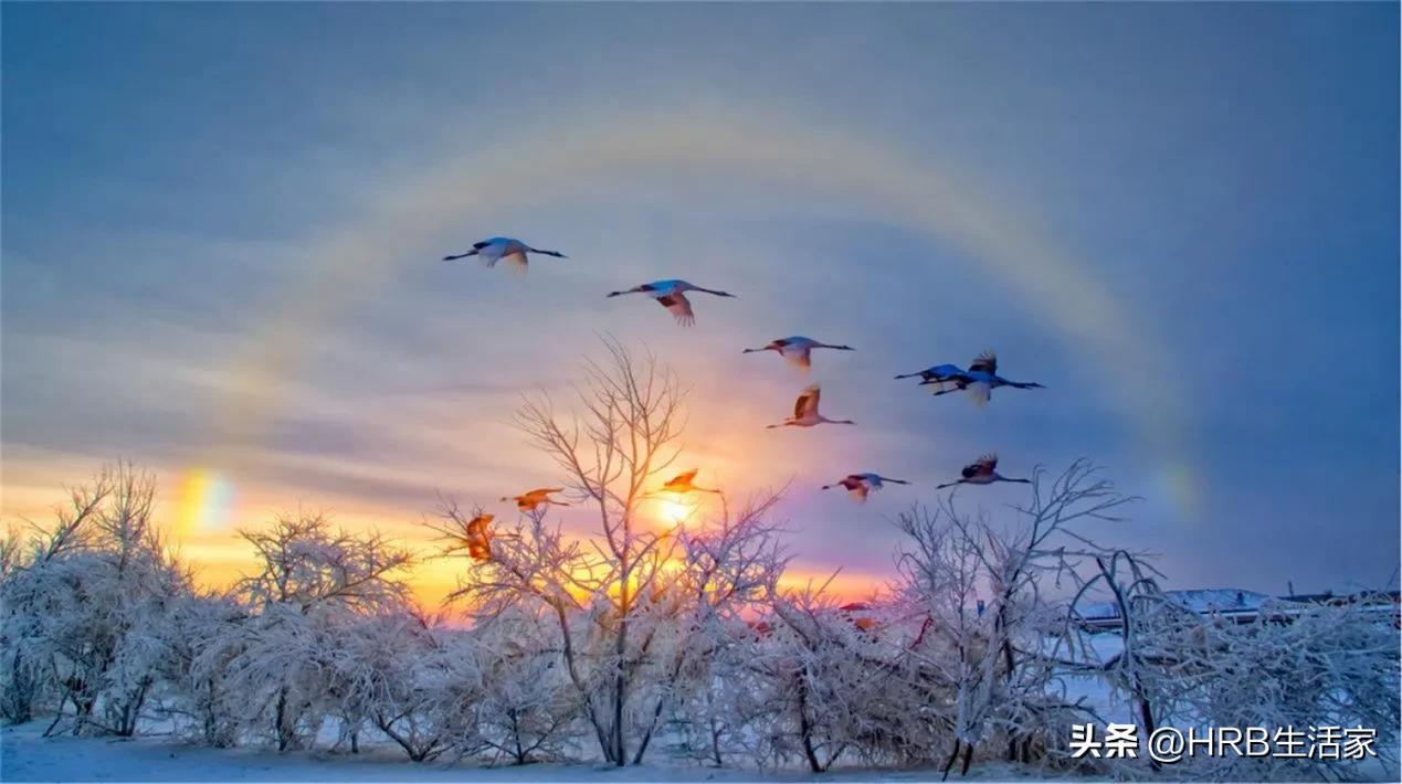 冰雪的节日全民的狂欢，跟着节庆冬游“童话龙江”