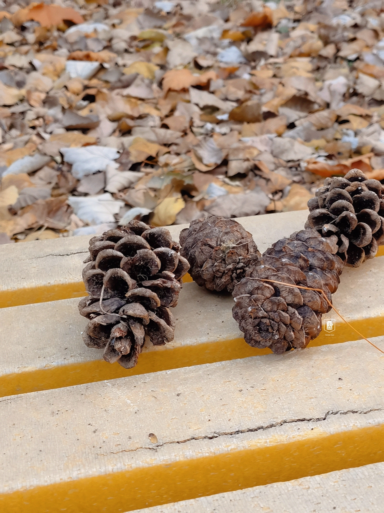 北京人去的18个免费公园,北京休闲小公园推荐