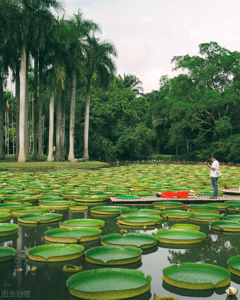 中国最具风情的养老胜地，北回归线上唯一的绿洲，不在乎春夏秋冬