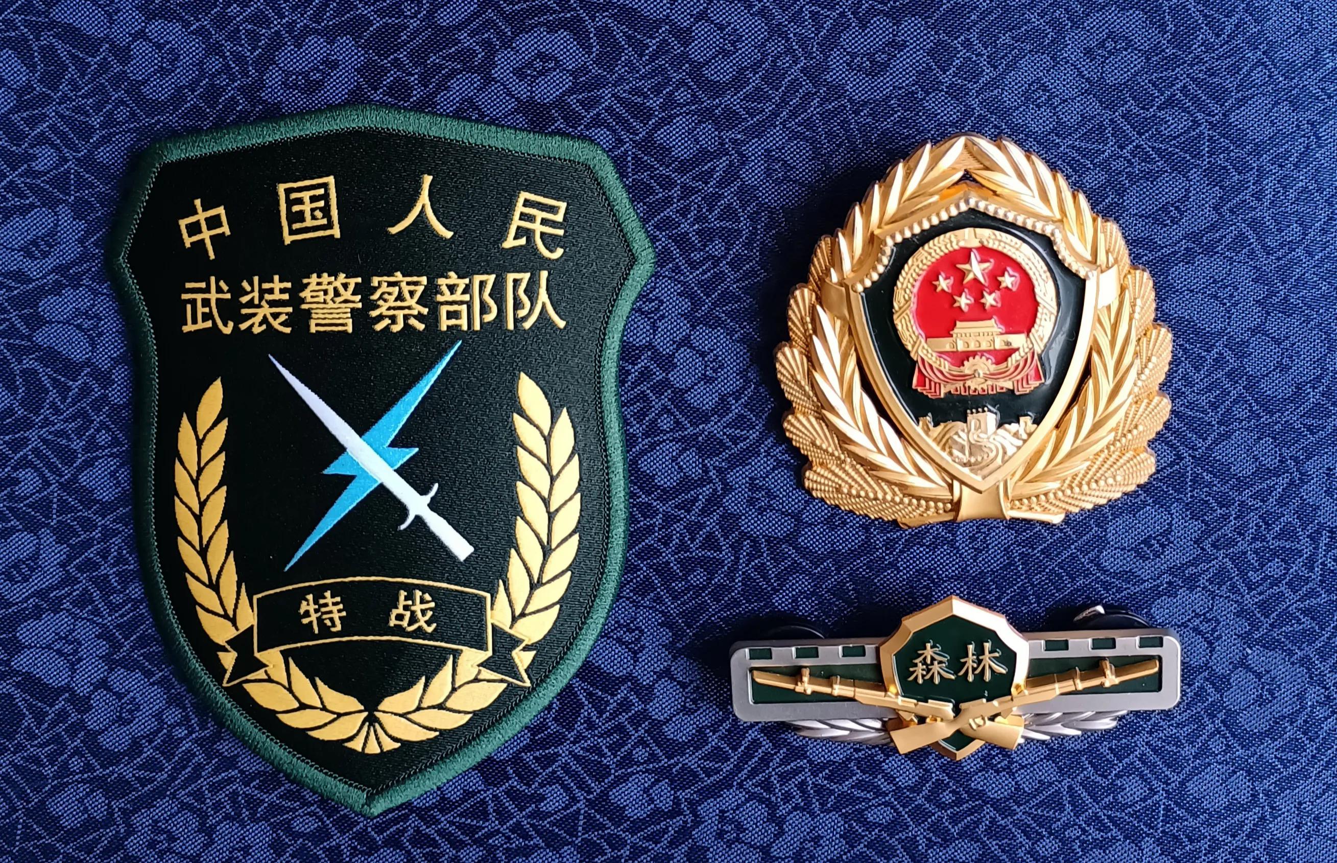 毛启国：*警武**部队16式臂章鉴赏