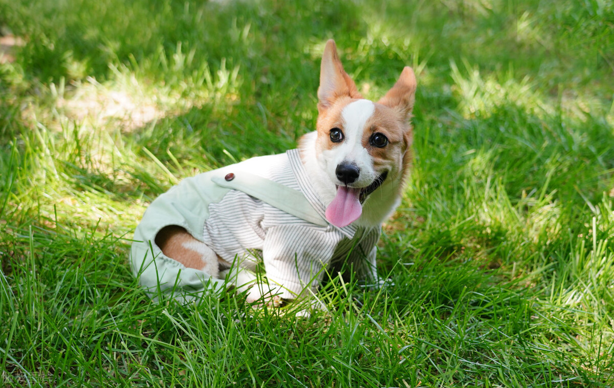 未来前景最好的五大行业,未来最有前景的四大行业