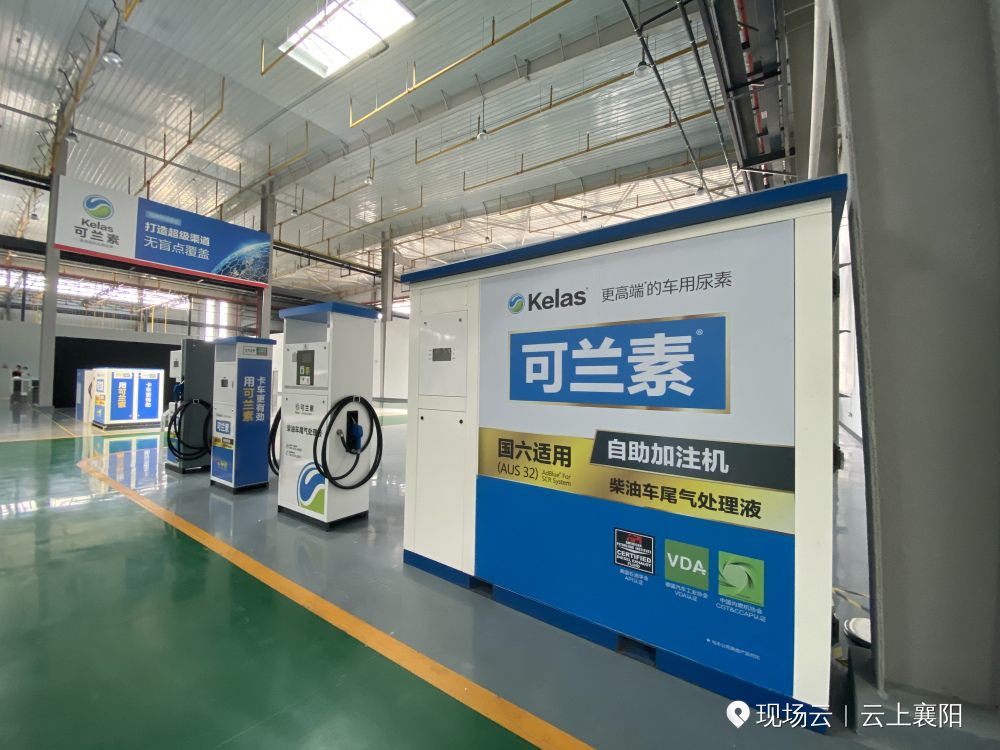 近期亮点项目分享,藏不住了的惊喜清单