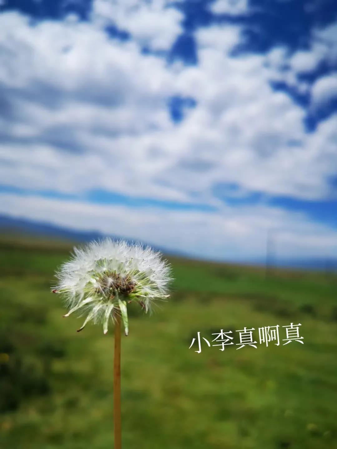 青海跟团游为什么不包餐,什么人不建议去青海旅游