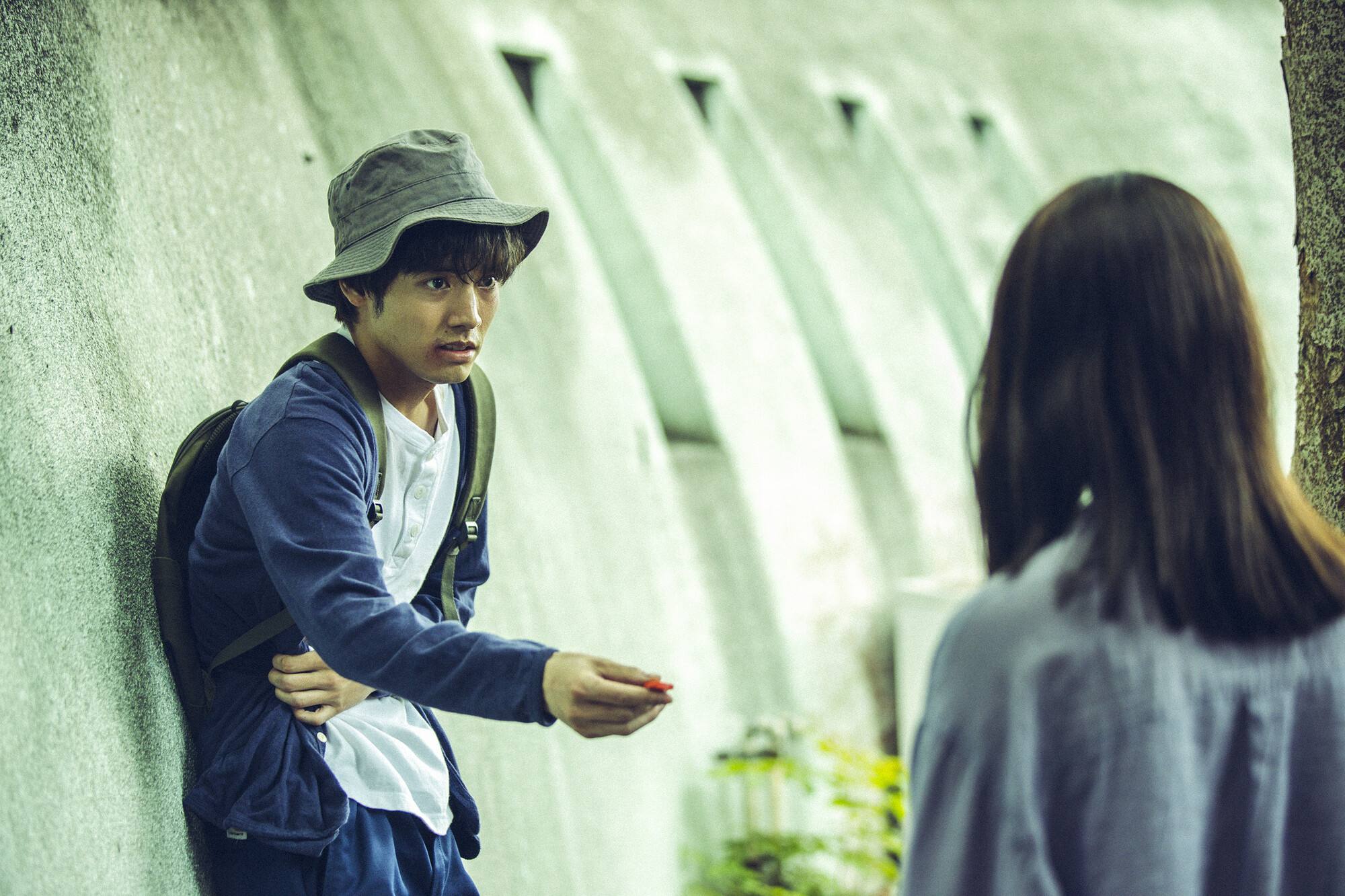 日本诡异寄生虫,现实版寄生虫住在别人家