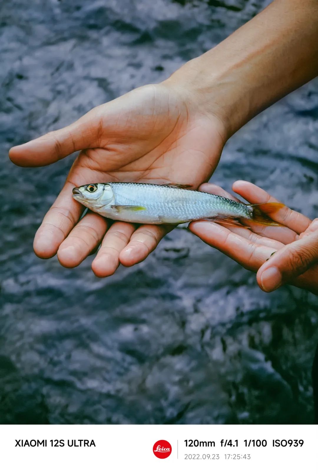 秋高气爽游玩攻略,秋高气爽游玩黄金季