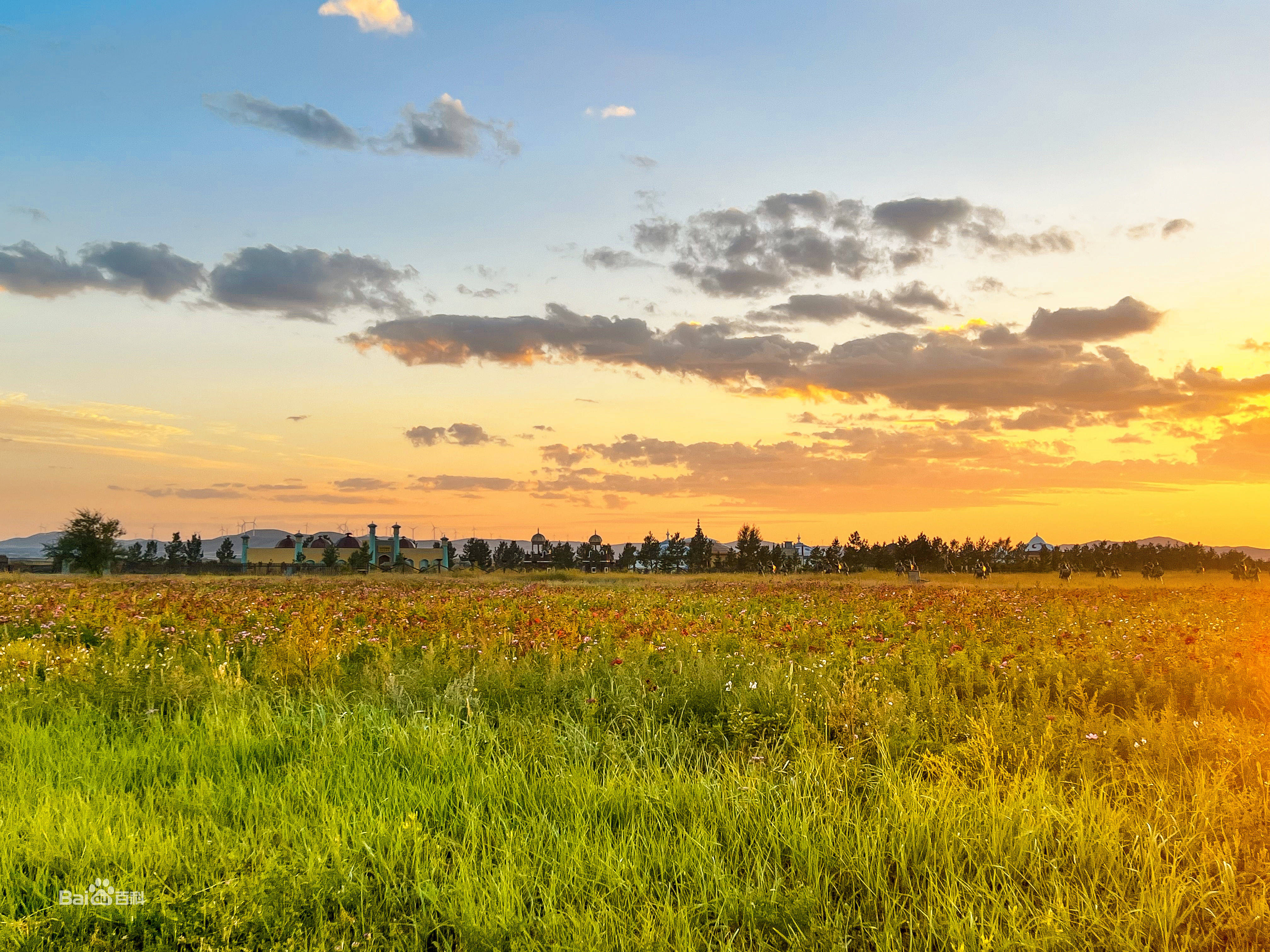 坝上草原最新旅行攻略图,坝上草原秋色旅游攻略大全