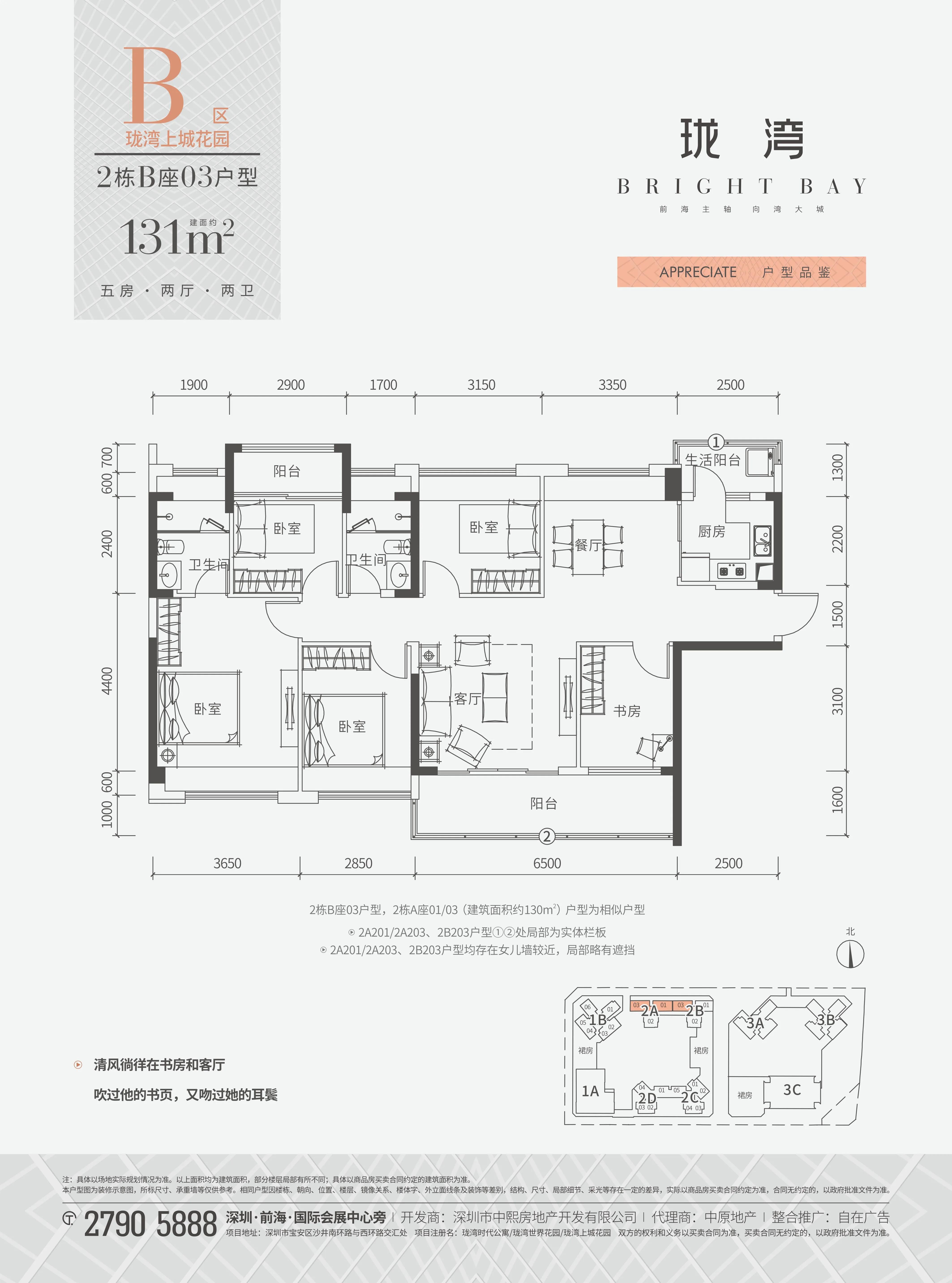 教育集团化办学成为趋势,深圳沙井新增4所集团学校