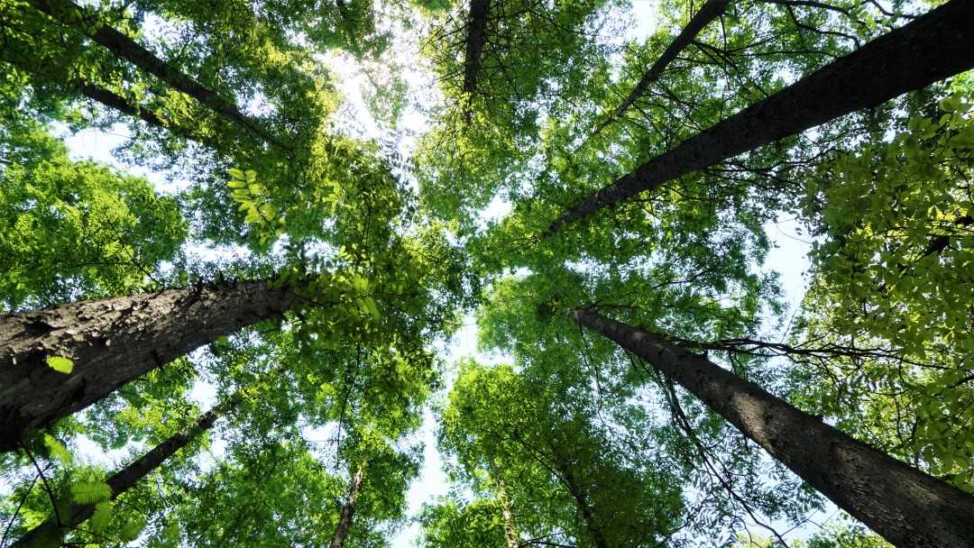 深度解析上海理工大学,上海理工大学小吗