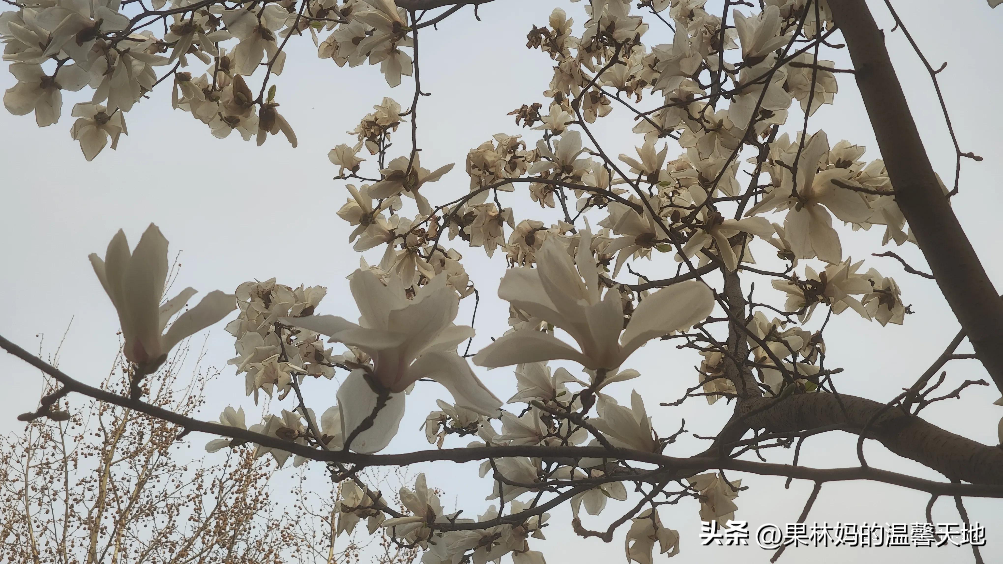 鼻腔有异物可以看急诊吗,晚上鼻腔异物看急诊