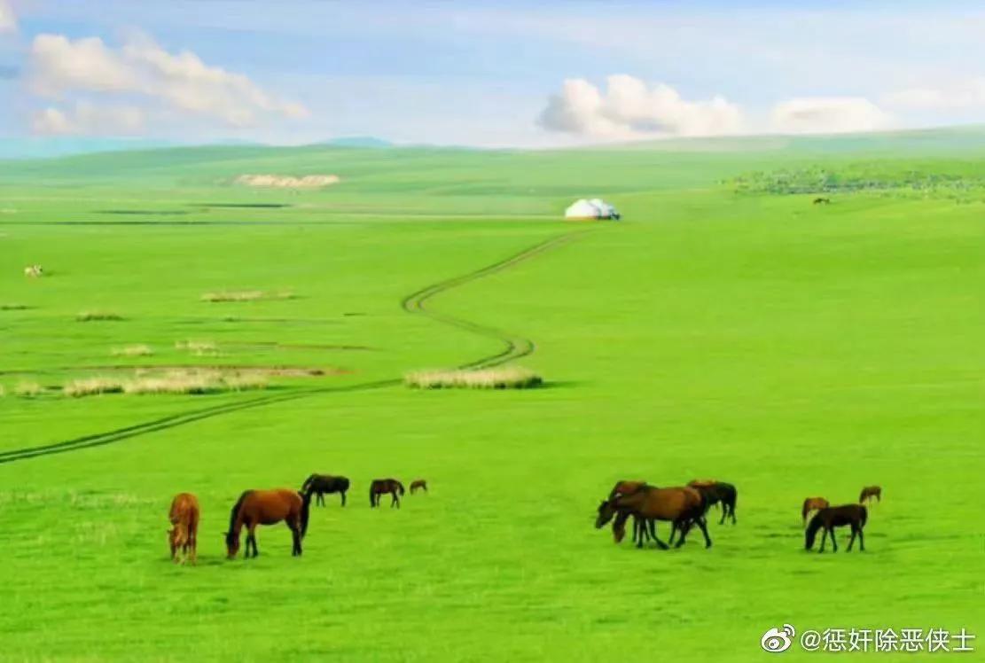 网络购物与传统购物对话,网络购物与现实差距