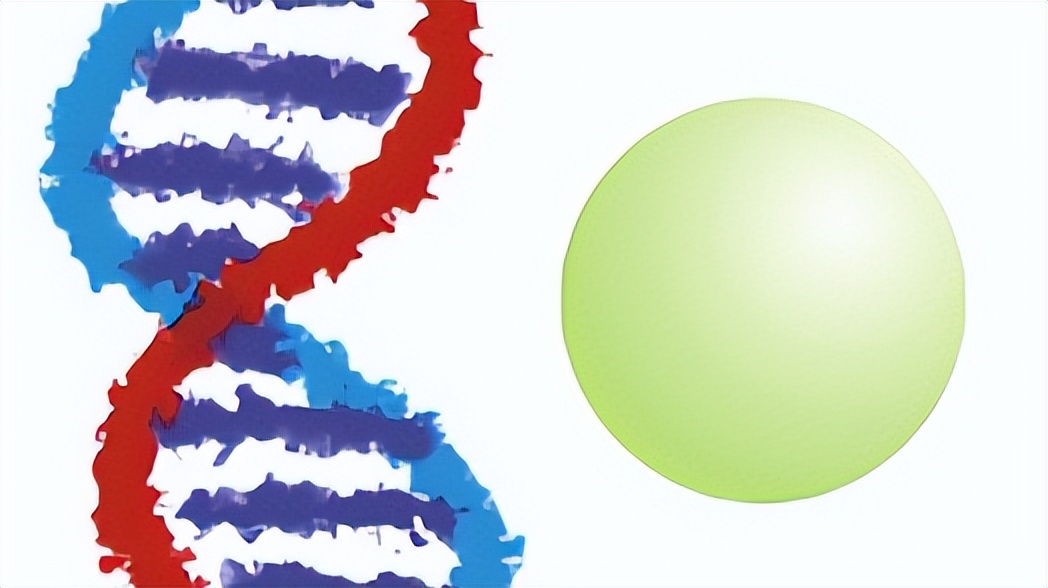 为啥白头发越长越多？你以为是老了，医生：或是缺乏这几种营养素