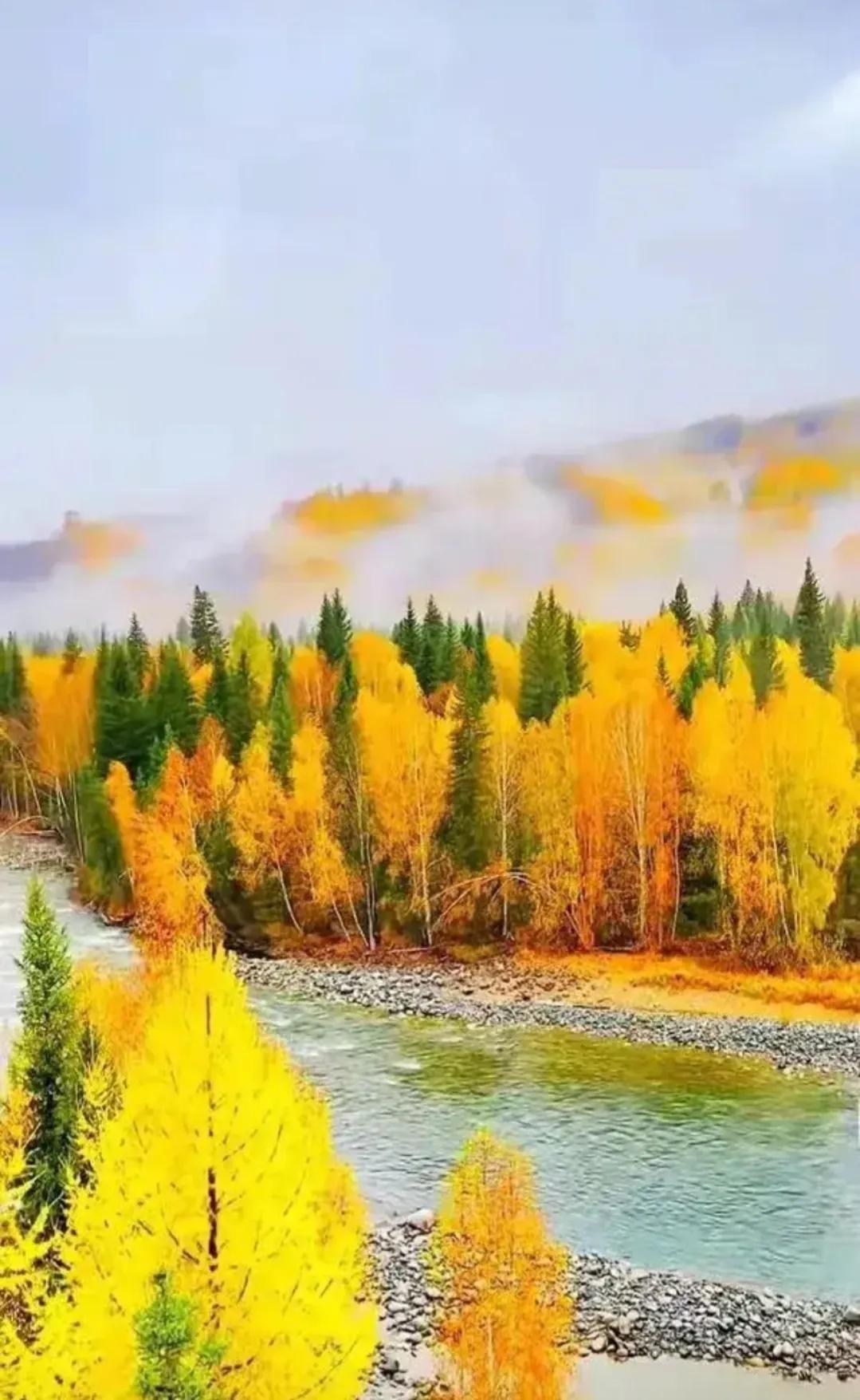 中国台球运动员被禁赛,中国台球被禁赛的人是哪几个