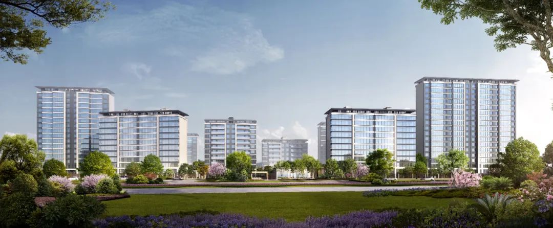 企业深度观察,企业观察