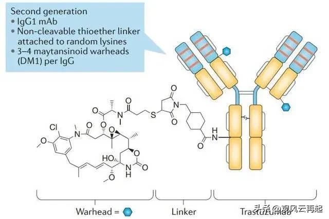 替尼类药物和单抗类药物的区别,替尼单抗