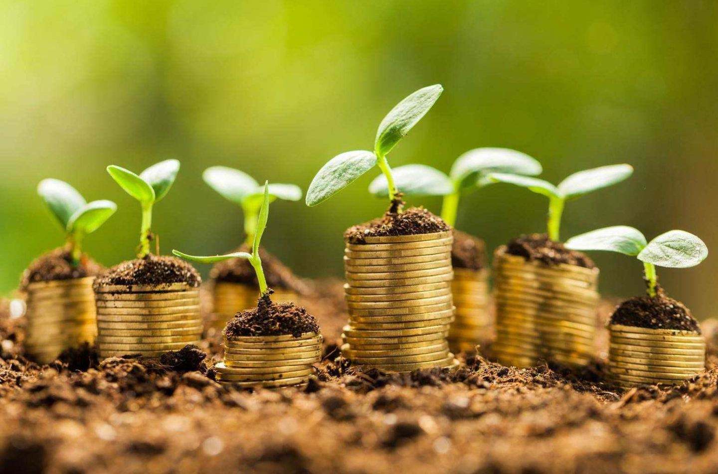 理财只有一张纸不可以看余额,理财小白必看的10个技巧