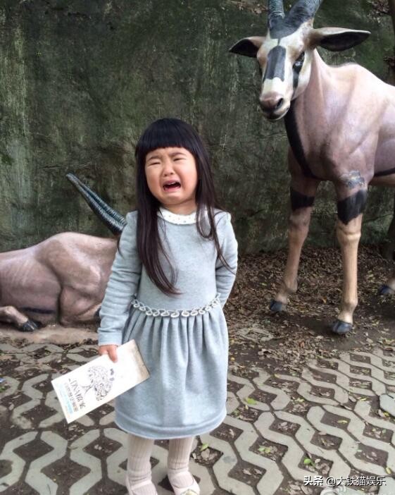 爸爸去哪儿最好看的一期,爸爸去哪儿最好看的女孩是谁