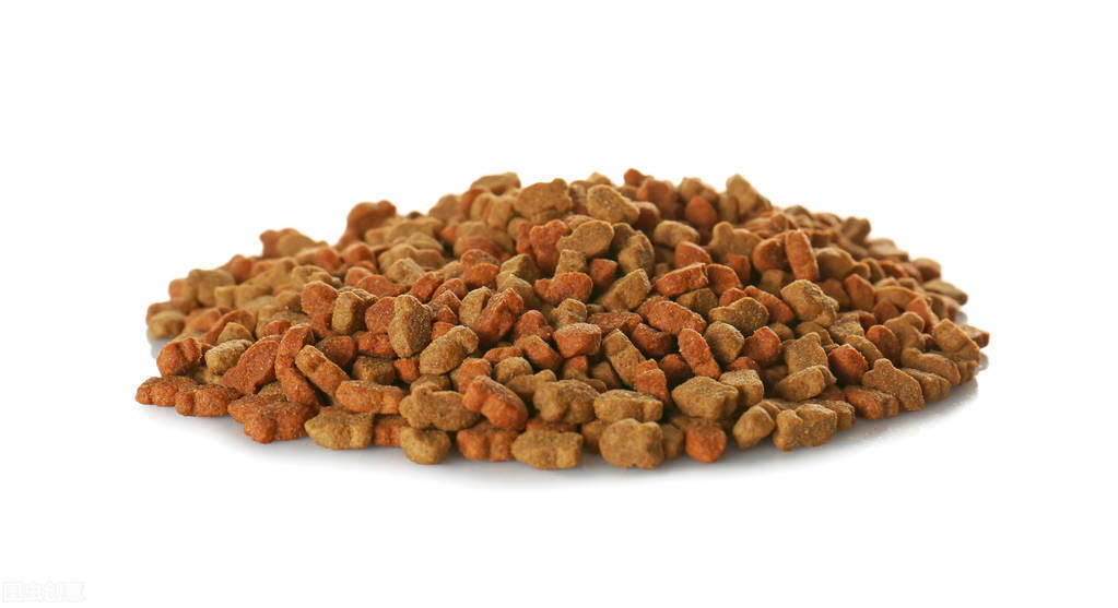 如何饲养大黄蛉,如何饲养大鳄