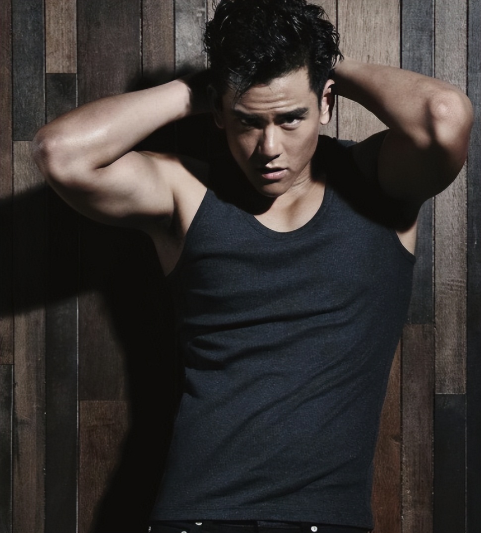 中国男星十大荧幕硬汉,比较有硬汉气质的男星