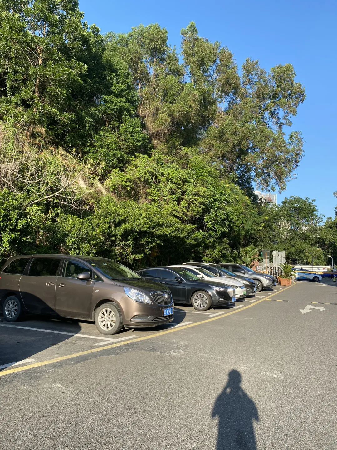 在汽车上投入大量的钱有必要吗,在车上花了很多钱很后悔