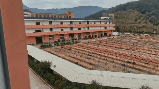 当代年轻人不上进只上香？上香有讲究，5.12-15厦门看香全攻略