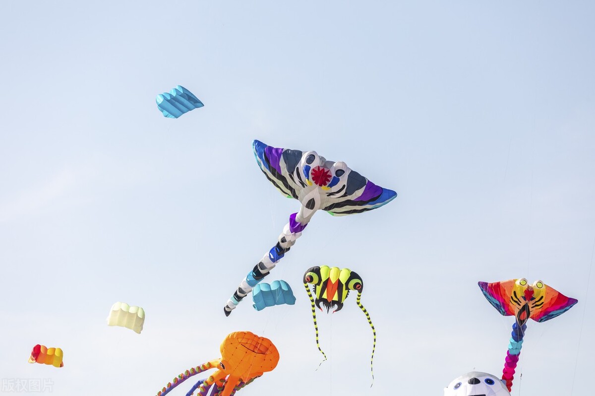 语文优化设计五年级下册红楼春趣,语文五年级下册红楼春趣全文释义