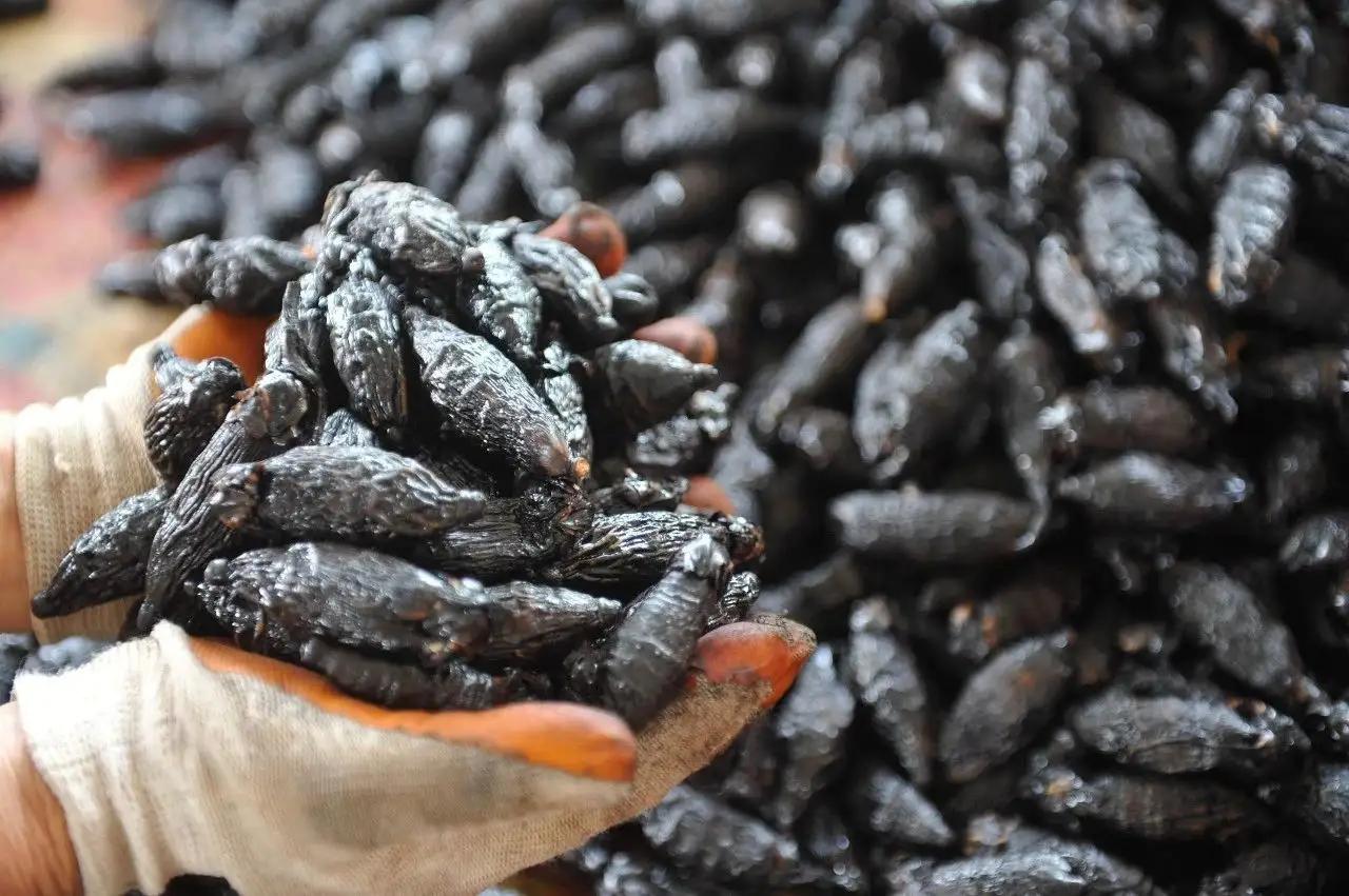 槟榔的危害原来这么大,槟榔的危害你知道有多大吗