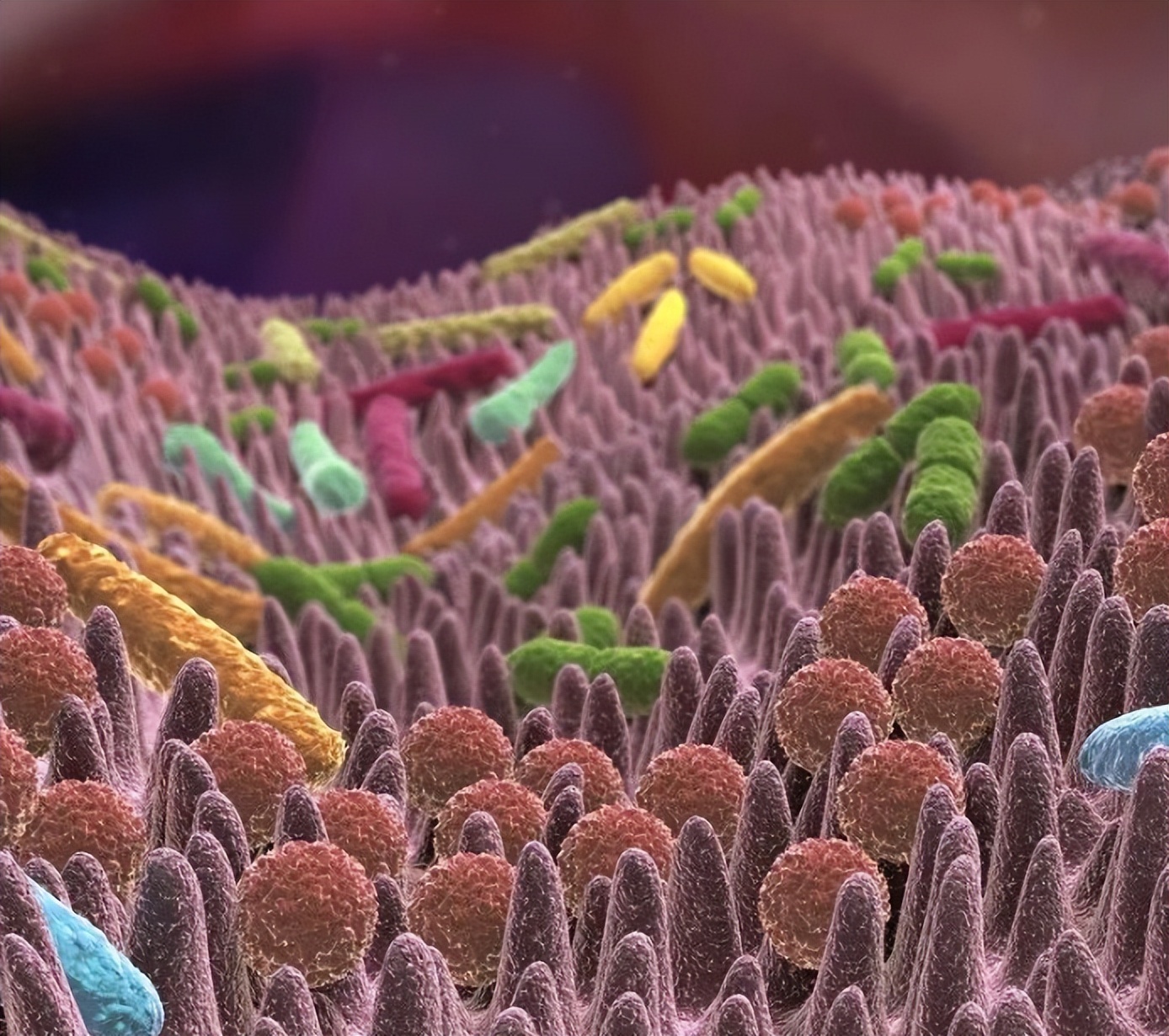 不起眼的五个行为正在毁掉你的肾,6个不起眼的习惯正在伤害眼睛