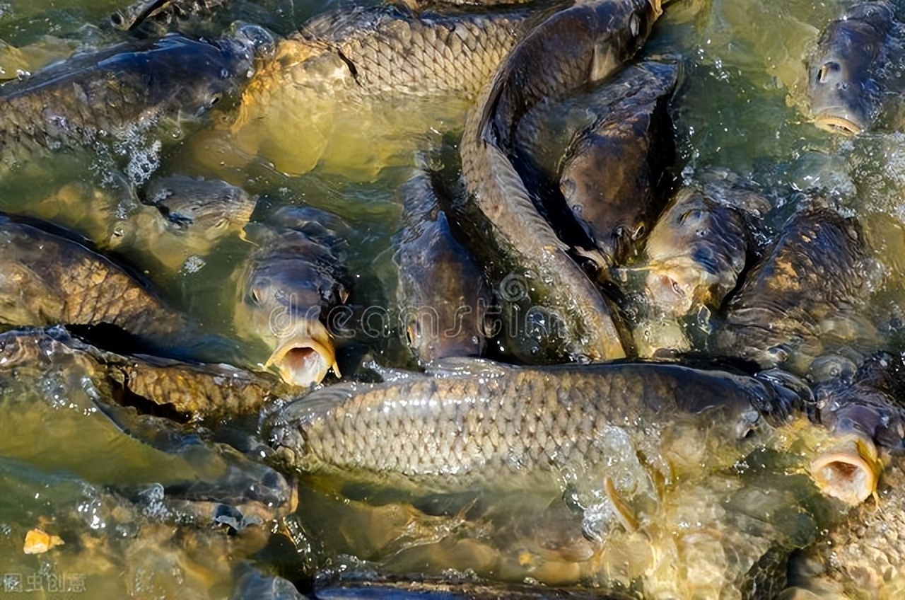 流水走漂的正确方法图解,流水走漂解决方法