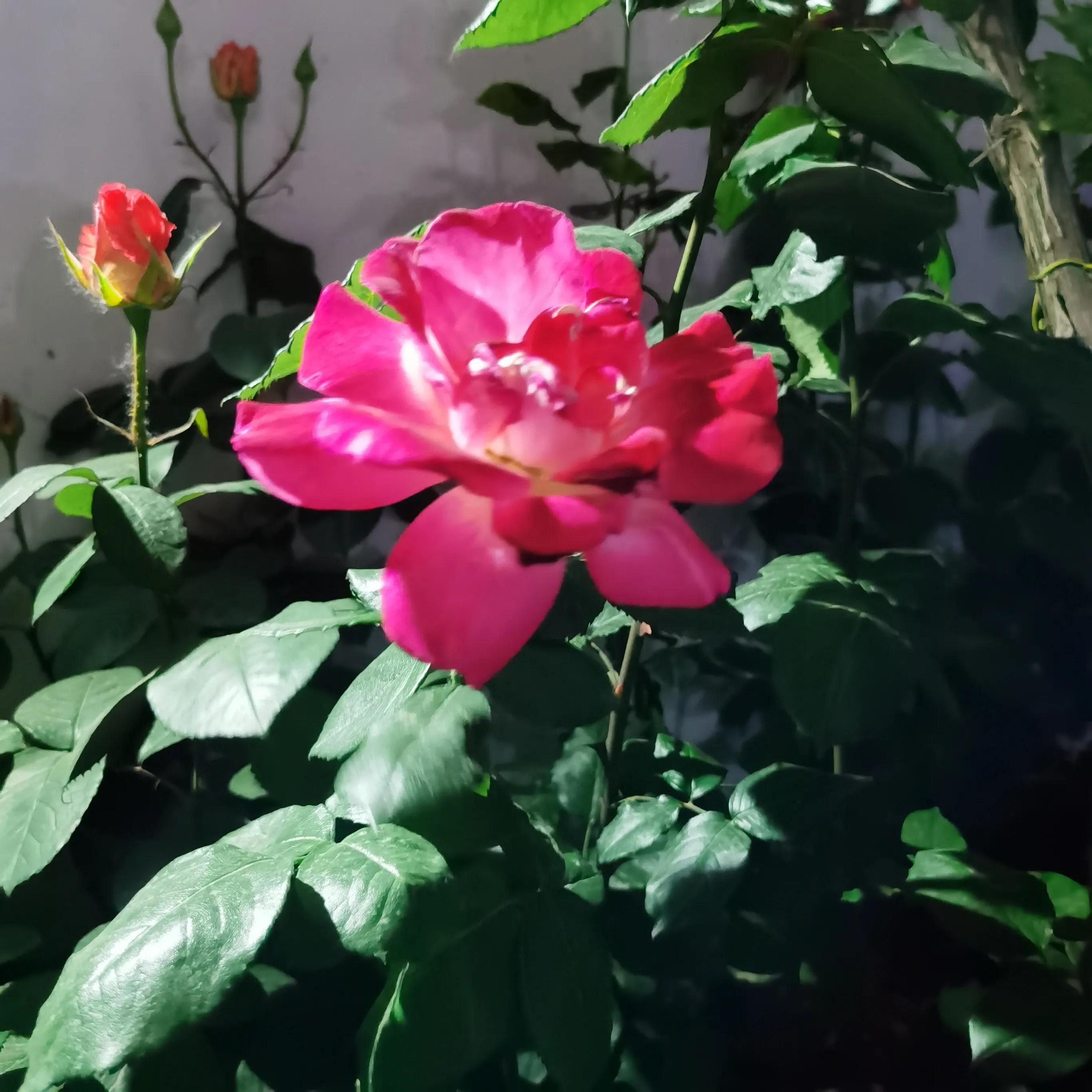 假期过完开始搬砖,假期用完开始搬砖