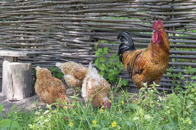 山村寡妇灵异小说在线阅读,山村小寡妇免费阅读