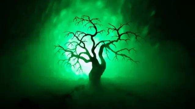 分享女儿应邀作的歌词《荒野博物馆》