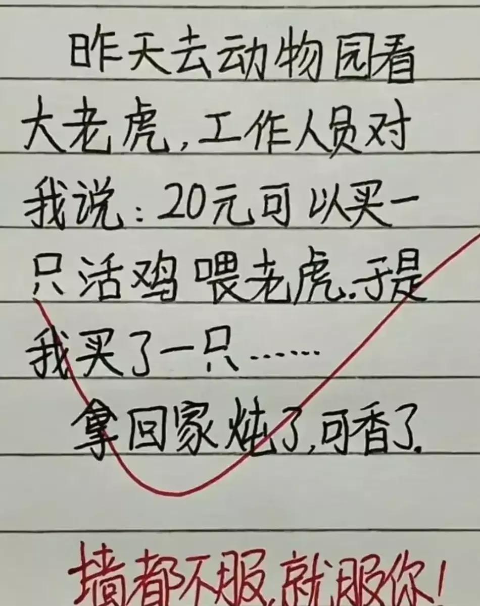 小智:我是我的文学新星,但我不相信