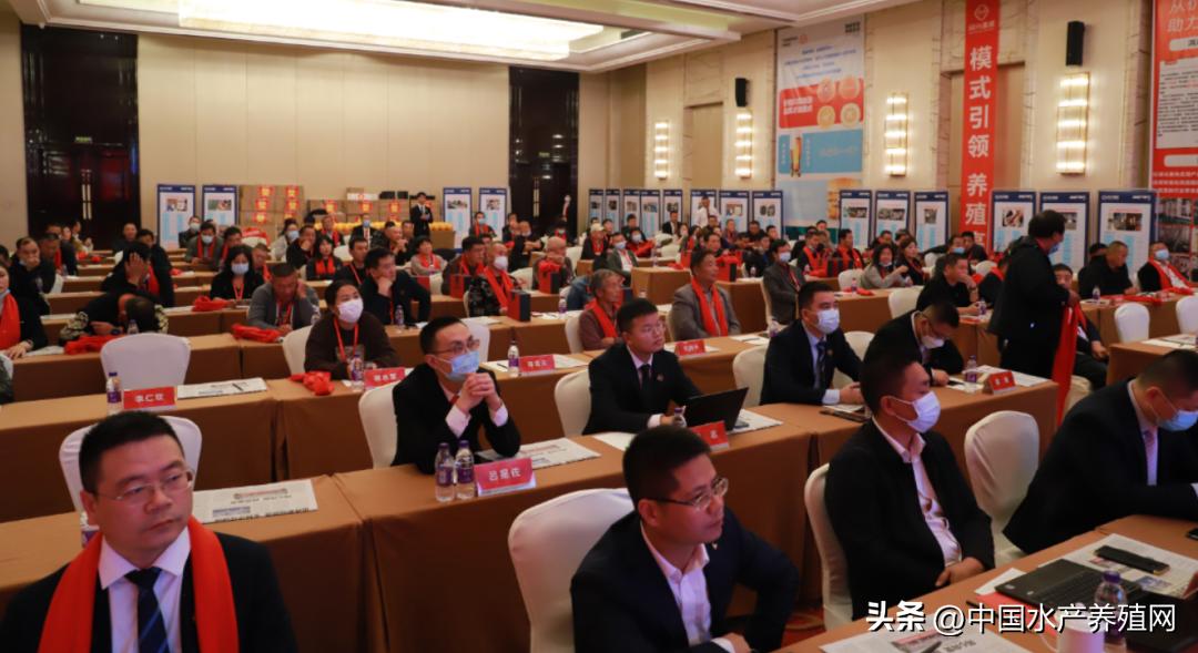 通威10000亿订单,通威股份获千亿订单