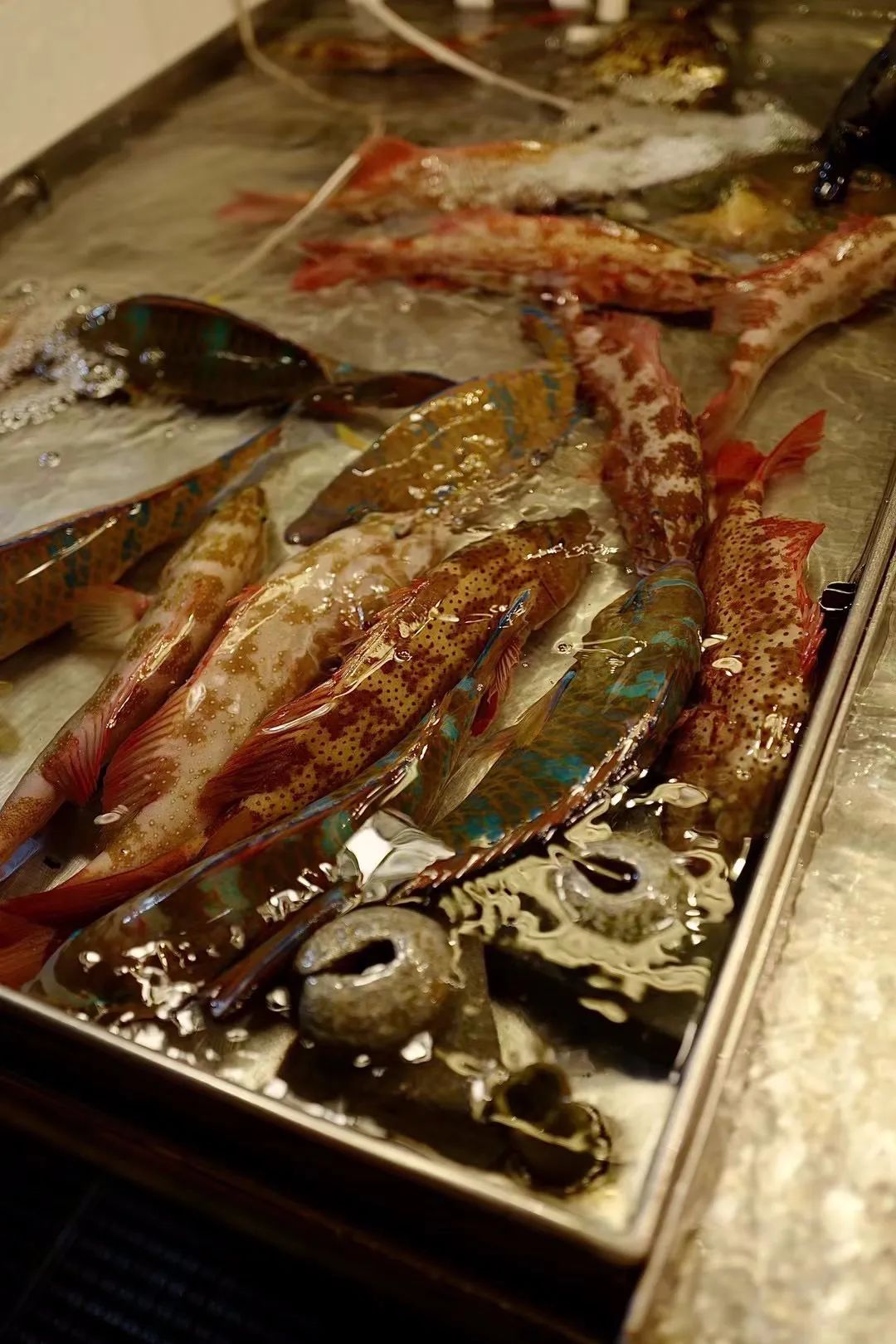 大师做菜的匠心,大师做菜大全