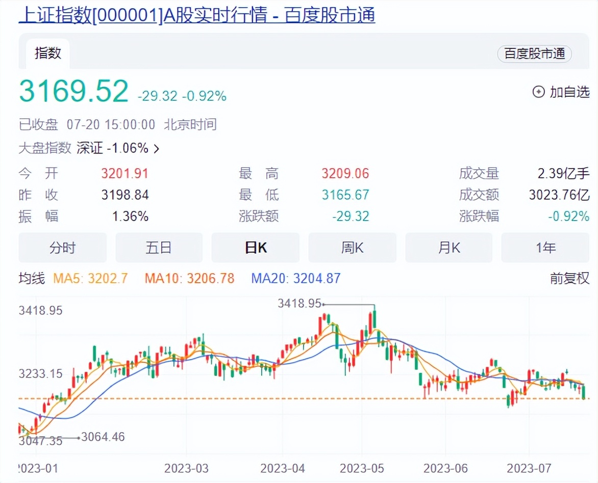 投资人亏本案例分析,投资人公司亏本了要赔吗