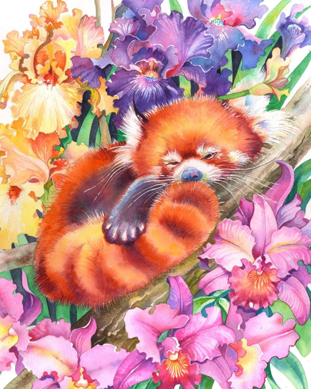 用色大胆的水彩作品,大神级水彩作品看完肯定不后悔