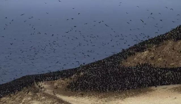 史上最惨烈5次战争,史上最荒唐的战争没有子弹