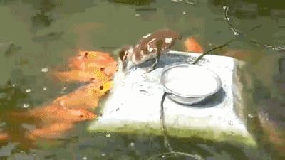 搞笑gif趣图姑娘你怎么这么凶啊,趣图搞笑美女