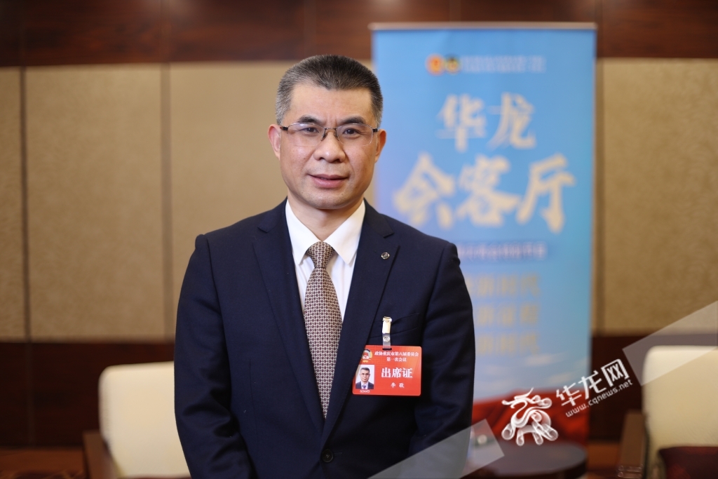 评论代表建议更好助力新重庆建设,重庆两会发展规划