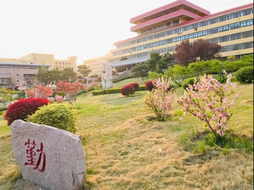 山东3位超牛本科生：相继发表SSCI高水平论文，还就读同一个“热门”专业！