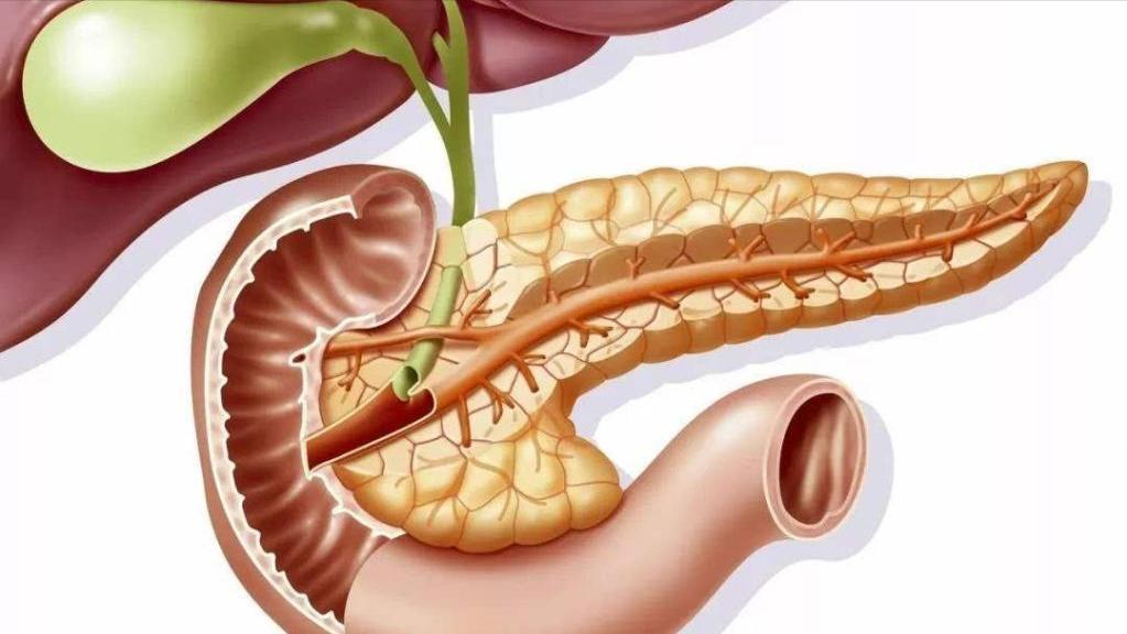 内脏什么病会导致后背不舒服,后背疼痛警惕内脏受损