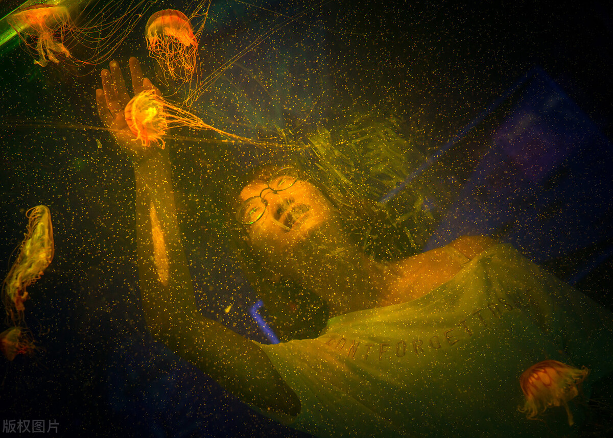 大鱼海棠谁的爱最深,大鱼海棠爱一个人就是无私奉献