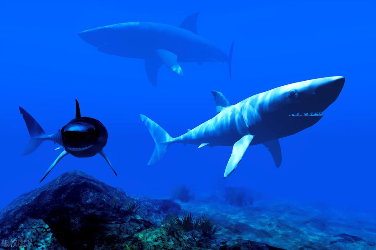 徐州哪里治疗焦虑症,徐州社交恐惧症治疗