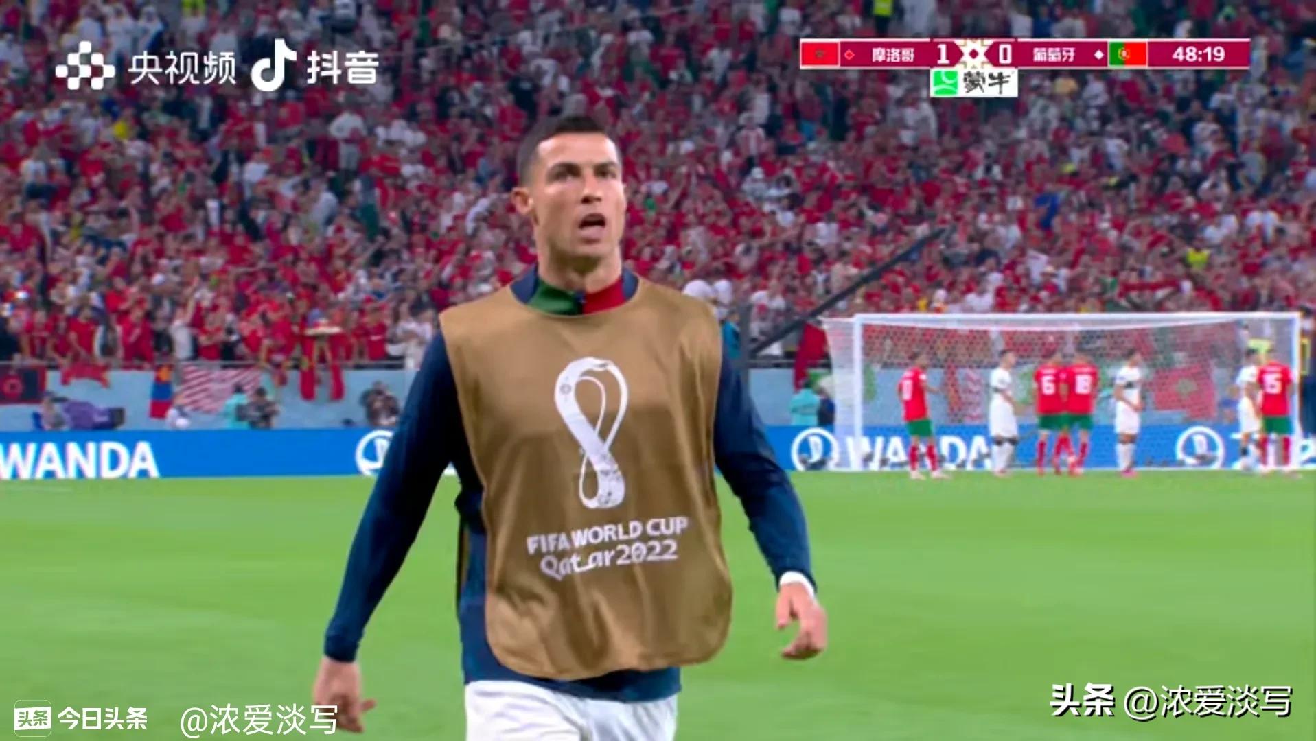 骄傲如她,骄傲如他小说推荐