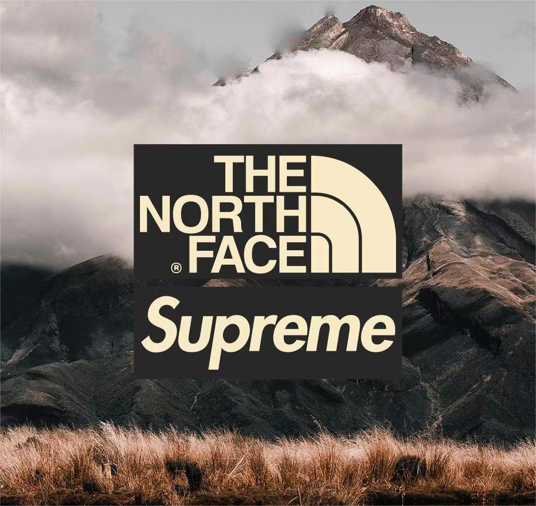 thenorthface属于什么档次,北面1996羽绒服同款细节对比测评